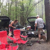 Review photo of Cataloochee Campground — Great Smoky Mountains National Park by Danielle G., May 6, 2018
