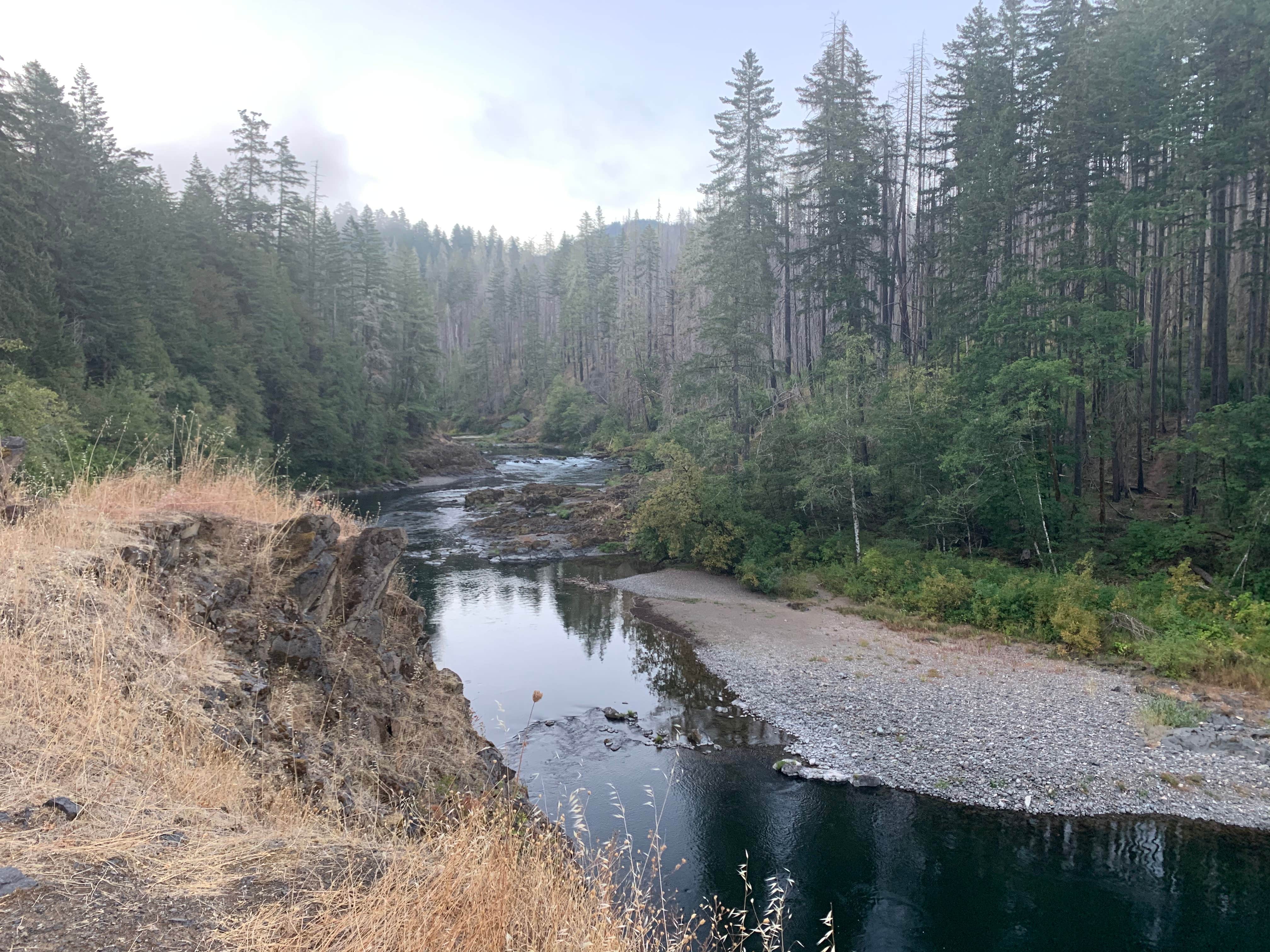 Camper submitted image from BLM North Umpqua Wild and Scenic River - 4