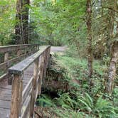 Review photo of BLM North Umpqua Wild and Scenic River by Kathleen D., August 23, 2020