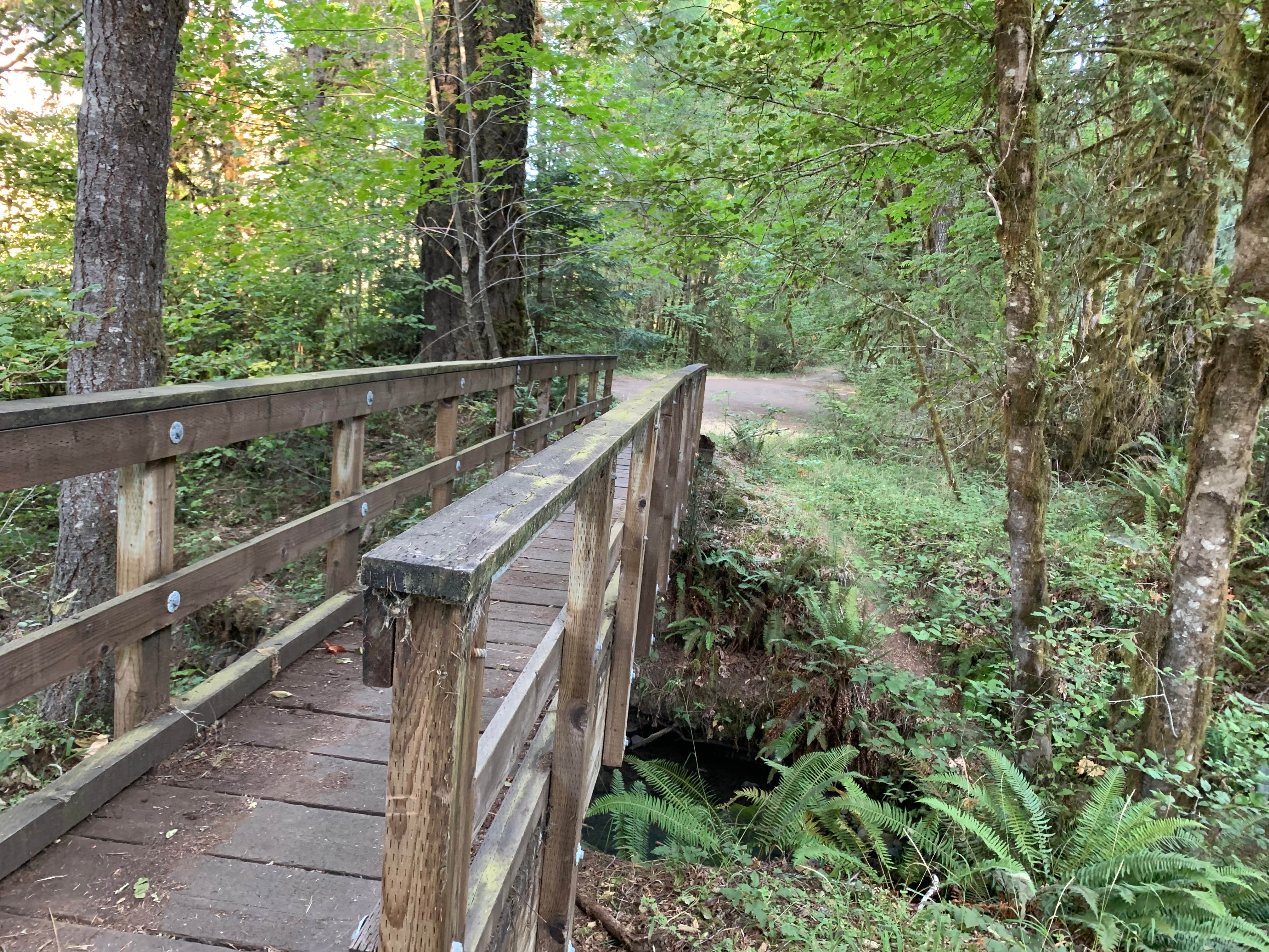 Camper submitted image from BLM North Umpqua Wild and Scenic River - 1