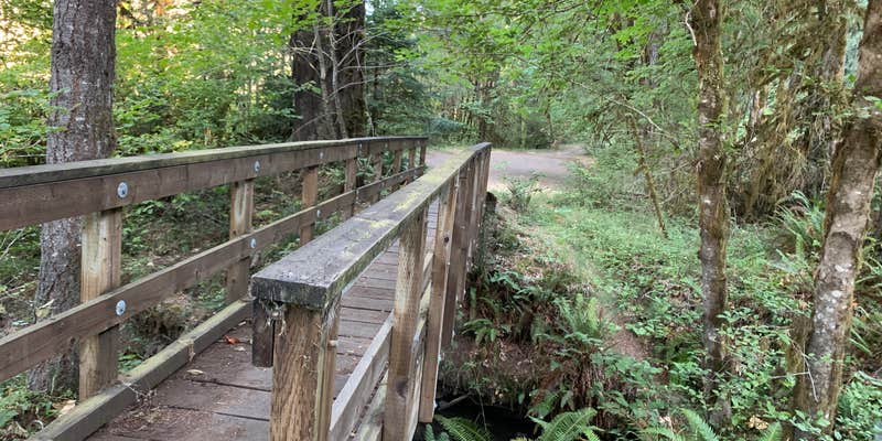 Camper submitted image from BLM North Umpqua Wild and Scenic River