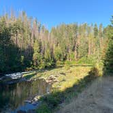 Review photo of BLM North Umpqua Wild and Scenic River by Kathleen D., August 23, 2020