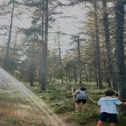 Jack Pine Lodge and Campground