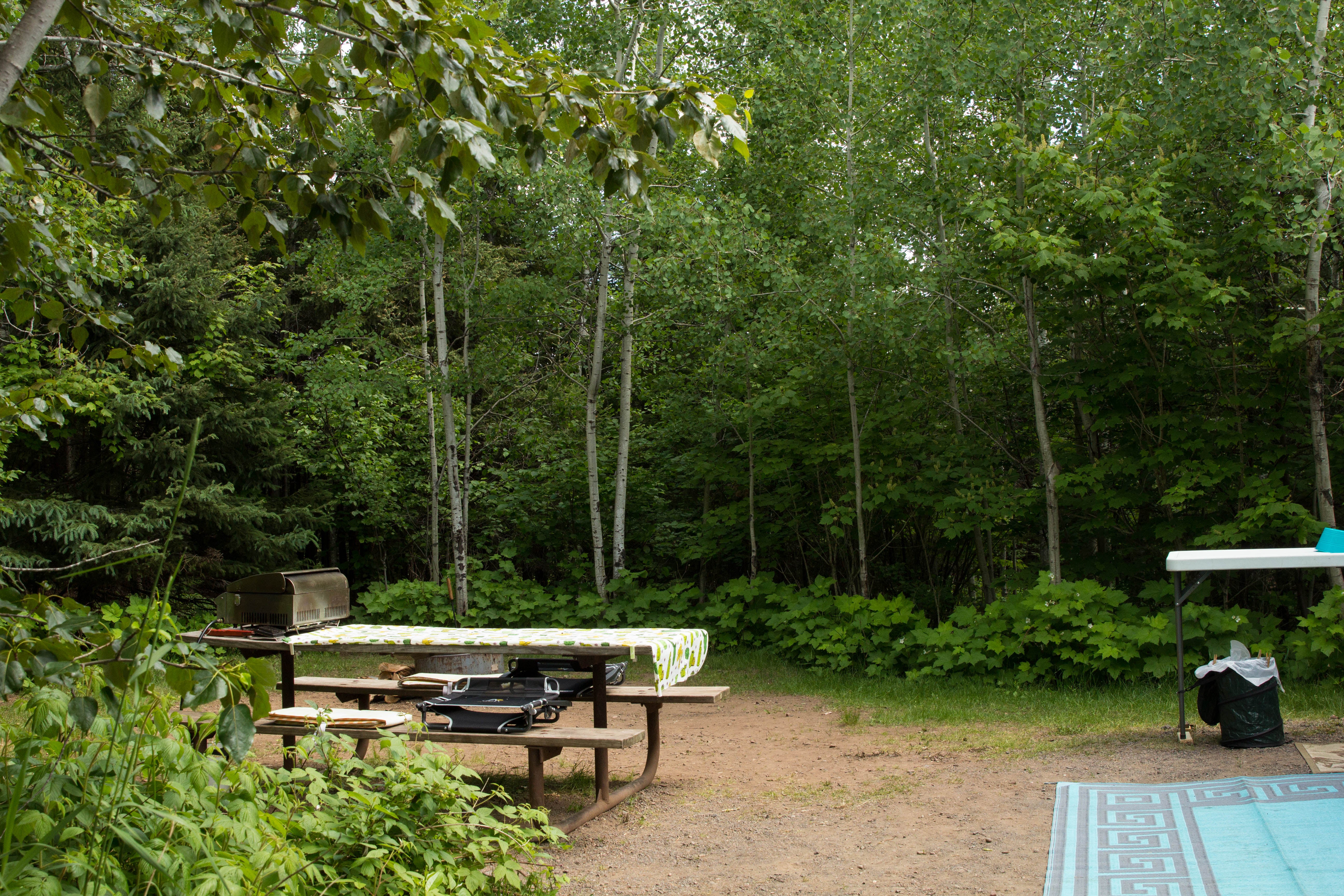 Camper submitted image from Baptism River Campground — Tettegouche State Park - 1
