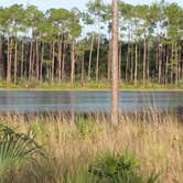 Review photo of Long Pine Key Campground — Everglades National Park by Kendra D., May 6, 2018