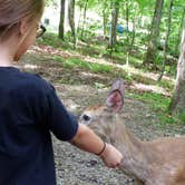 Review photo of Fall Creek Falls State Park Campground by Jeremy W., May 6, 2018