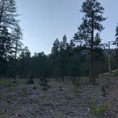 Review photo of McWilliams Campground by Michael K., August 23, 2020