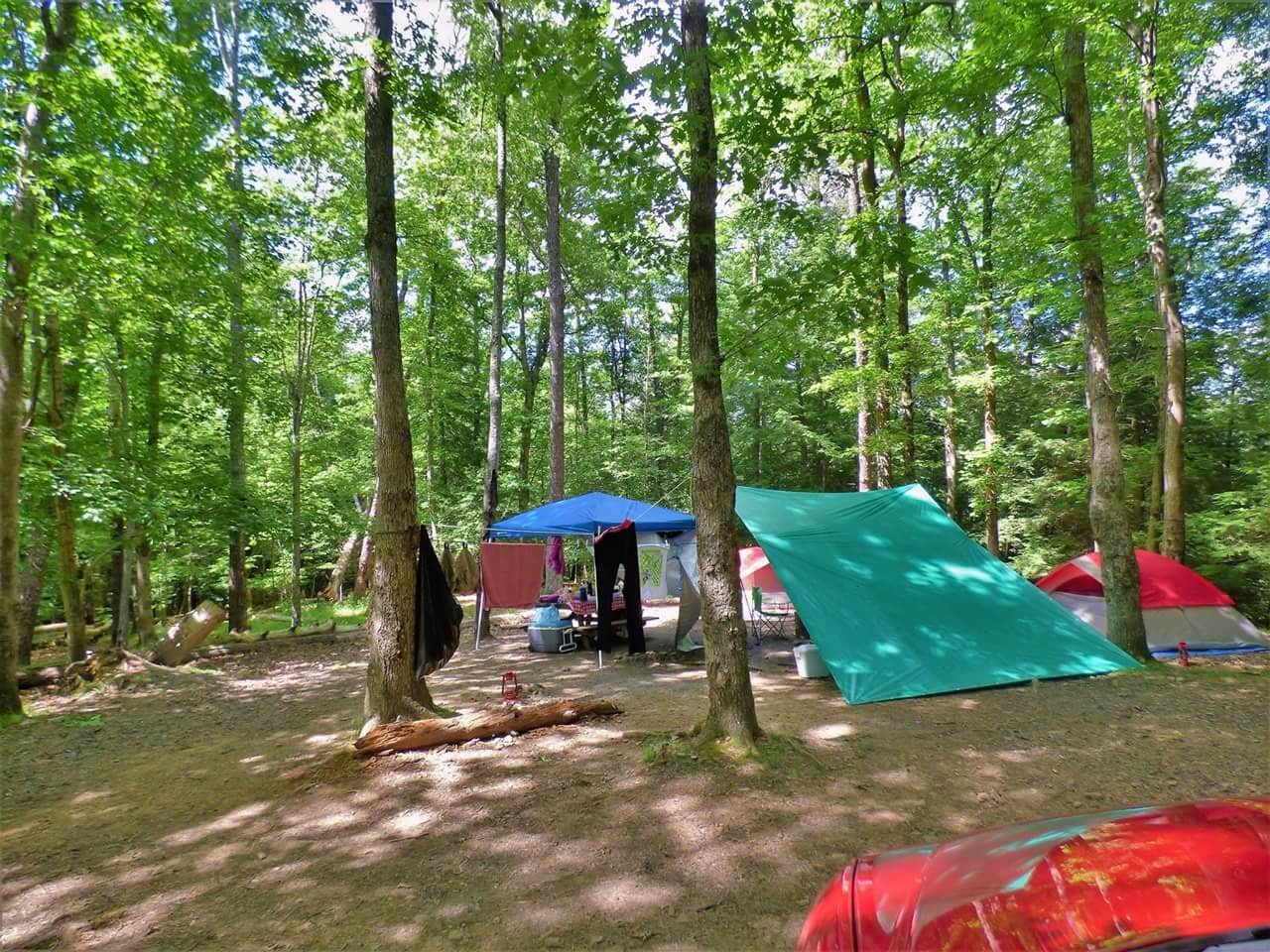 Jeremy W.'s photo at Fall Creek Falls State Park Campground near Sale Creek, TN