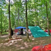 Review photo of Fall Creek Falls State Park Campground by Jeremy W., May 6, 2018