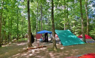 Jeremy W.'s photo at Fall Creek Falls State Park Campground near Rock Island, TN