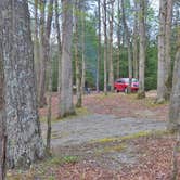 Review photo of Fall Creek Falls State Park Campground by Jeremy W., May 6, 2018