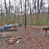 Review photo of Fall Creek Falls State Park Campground by Jeremy W., May 6, 2018