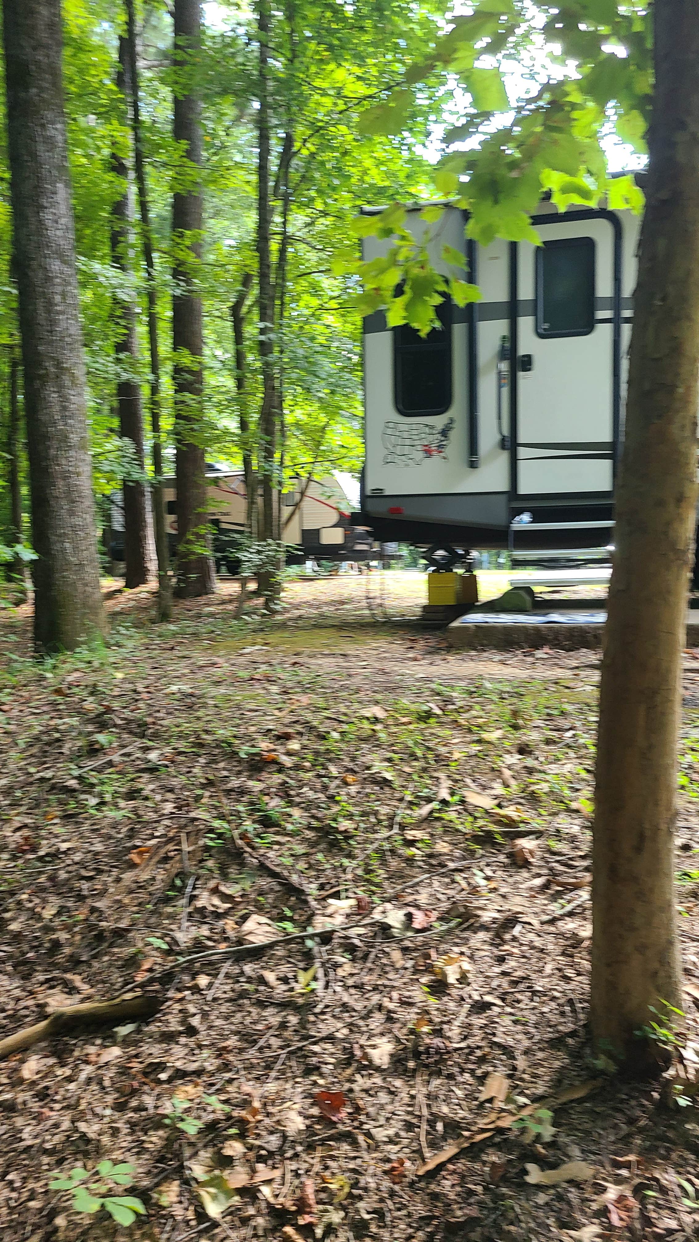 Camper submitted image from Natchez State Park Campground - 4