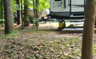 Cat R.'s photo at Natchez State Park Campground near Rhinehart, LA