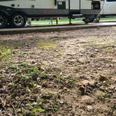 Review photo of Natchez State Park Campground by Cat R., August 23, 2020