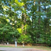 Review photo of Natchez State Park Campground by Cat R., August 23, 2020