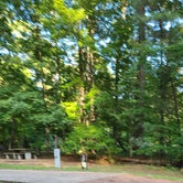 Review photo of Natchez State Park Campground by Cat R., August 23, 2020