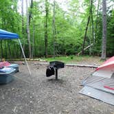 Review photo of Fall Creek Falls State Park Campground by Jeremy W., May 6, 2018