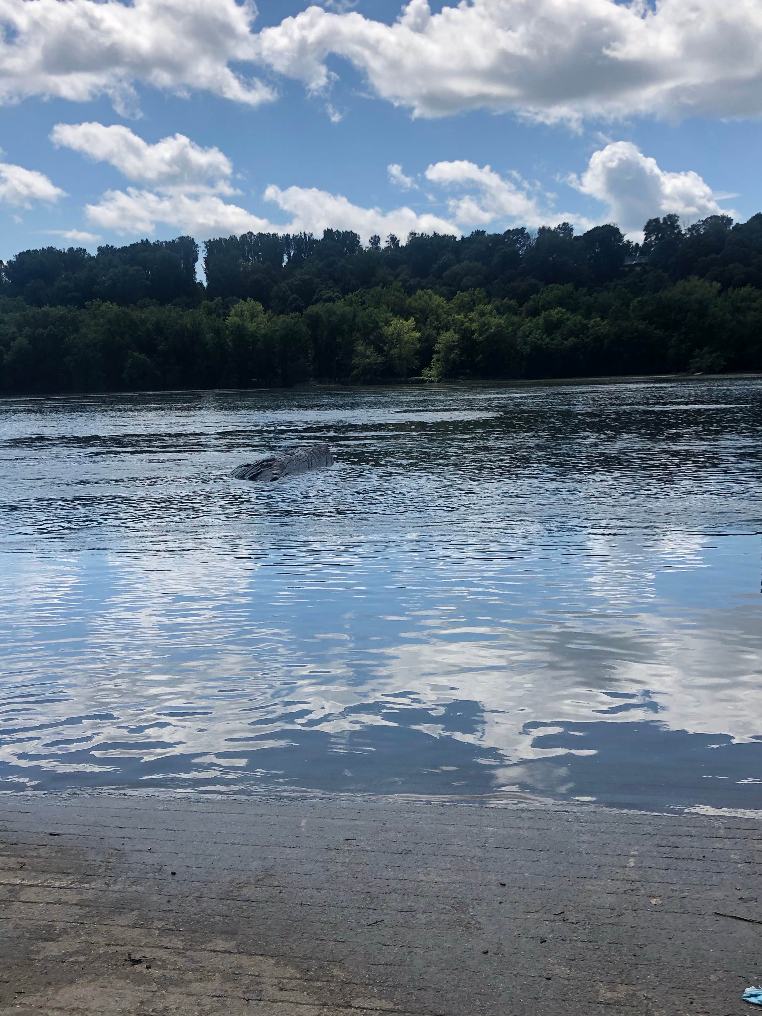 Camper-submitted photo at Brunswick City Campground near Rippon, WV