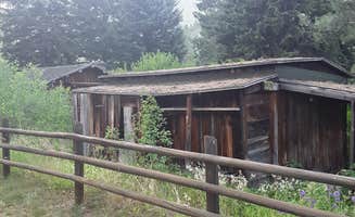 TRINA B.'s photo of a cabin at Sula Country Store and Resort near Sula, MT