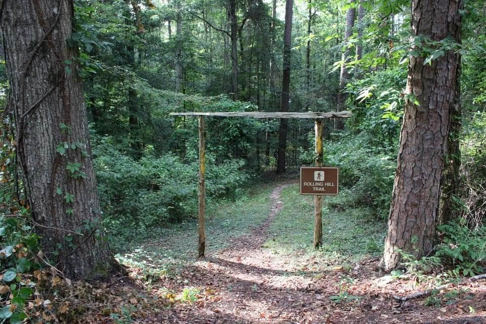 Camper-submitted photo at Lake Lincoln State Park Campground near Crystal Springs, MS