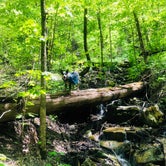 Review photo of Monte Sano State Park Campground by Shelly S., May 6, 2018