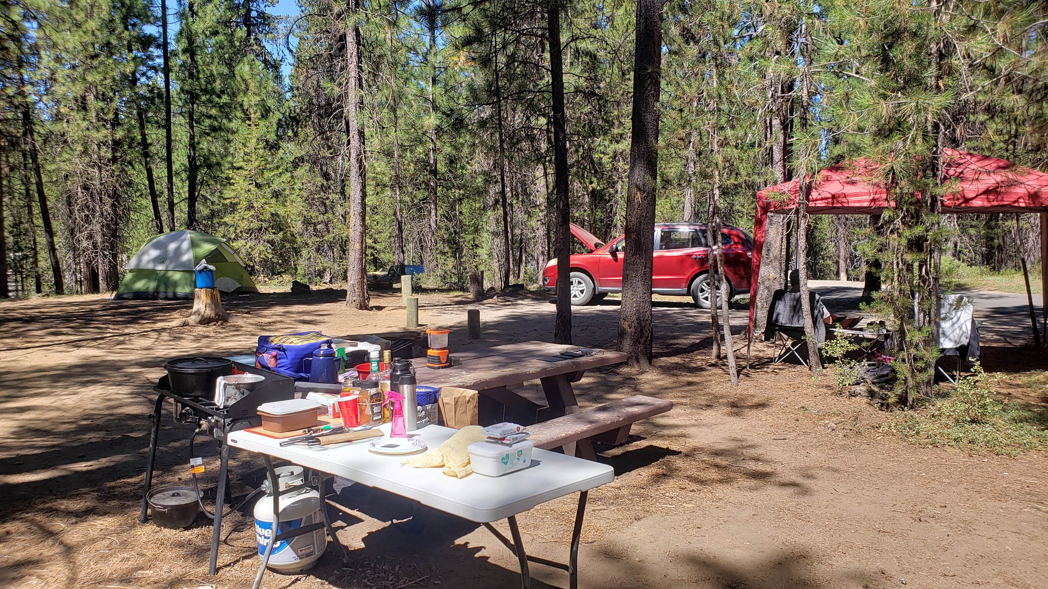 Camper submitted image from Crane Prairie Campground - 4