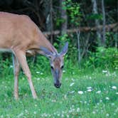 Review photo of Arrowhead Lodge by B M., August 23, 2020