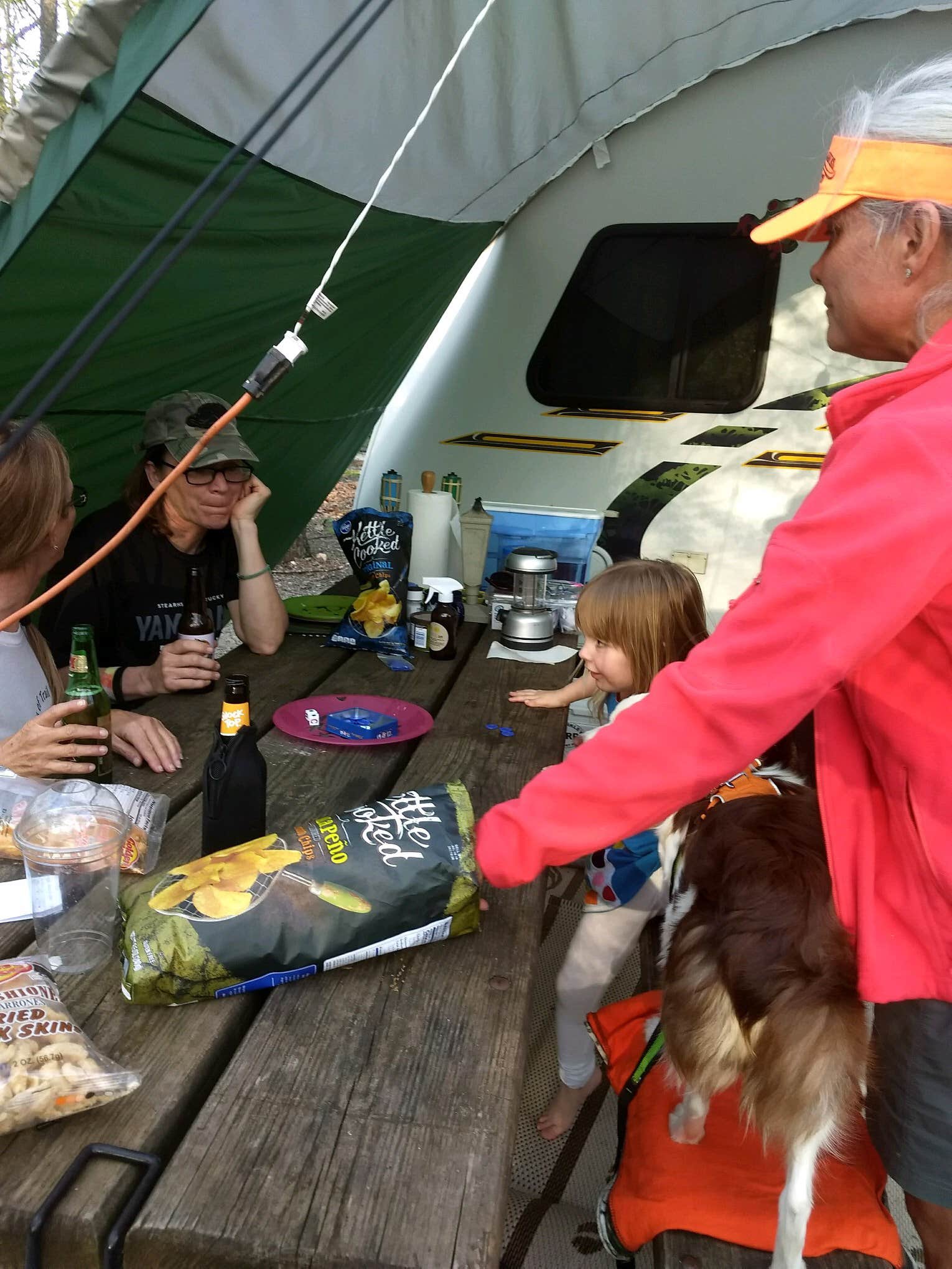 Shelly S.'s photo of camping with pets at Monte Sano State Park Campground near Grant, AL