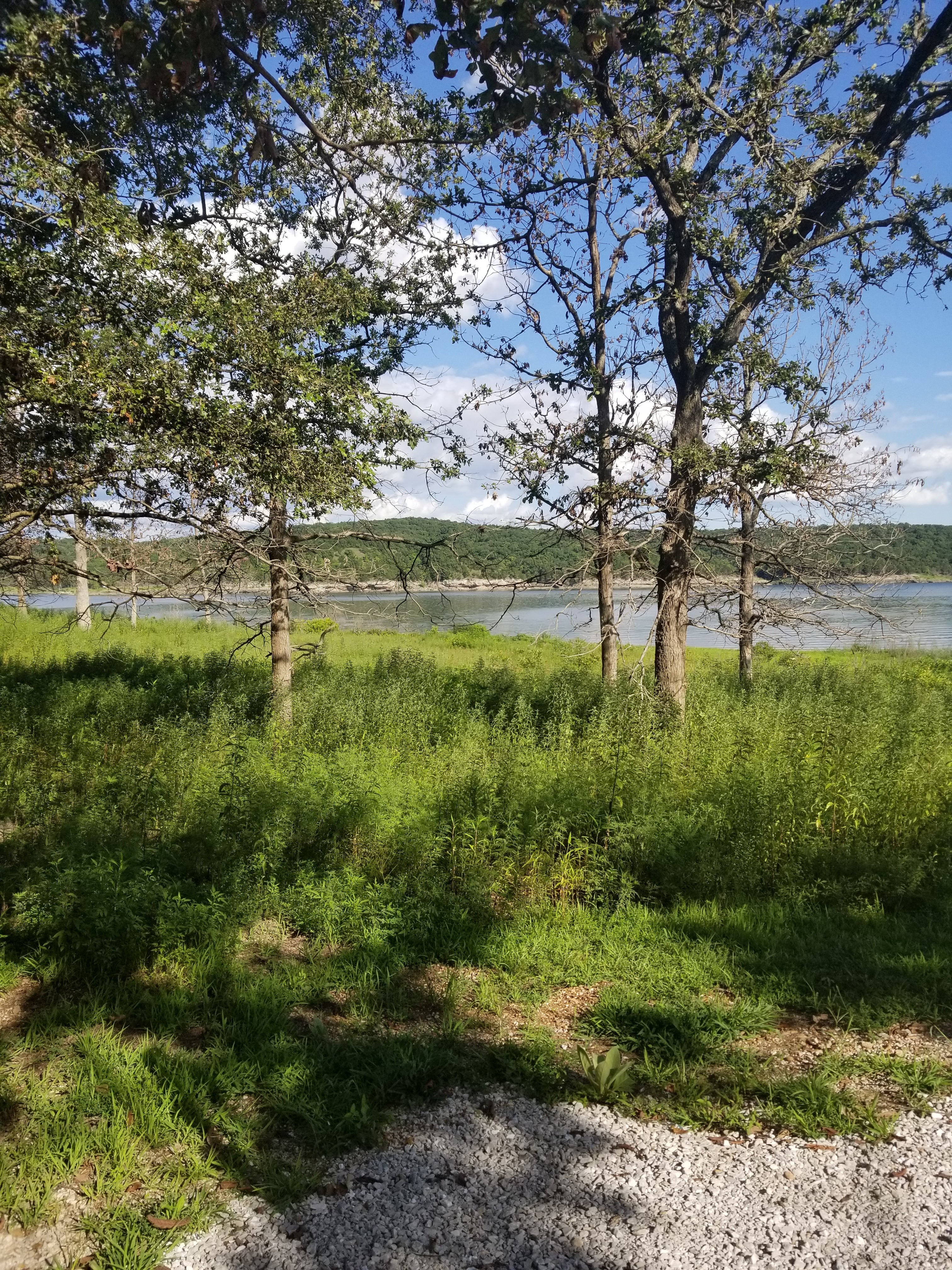 Camper submitted image from Berry Bend - Harry S. Truman Lake - 4