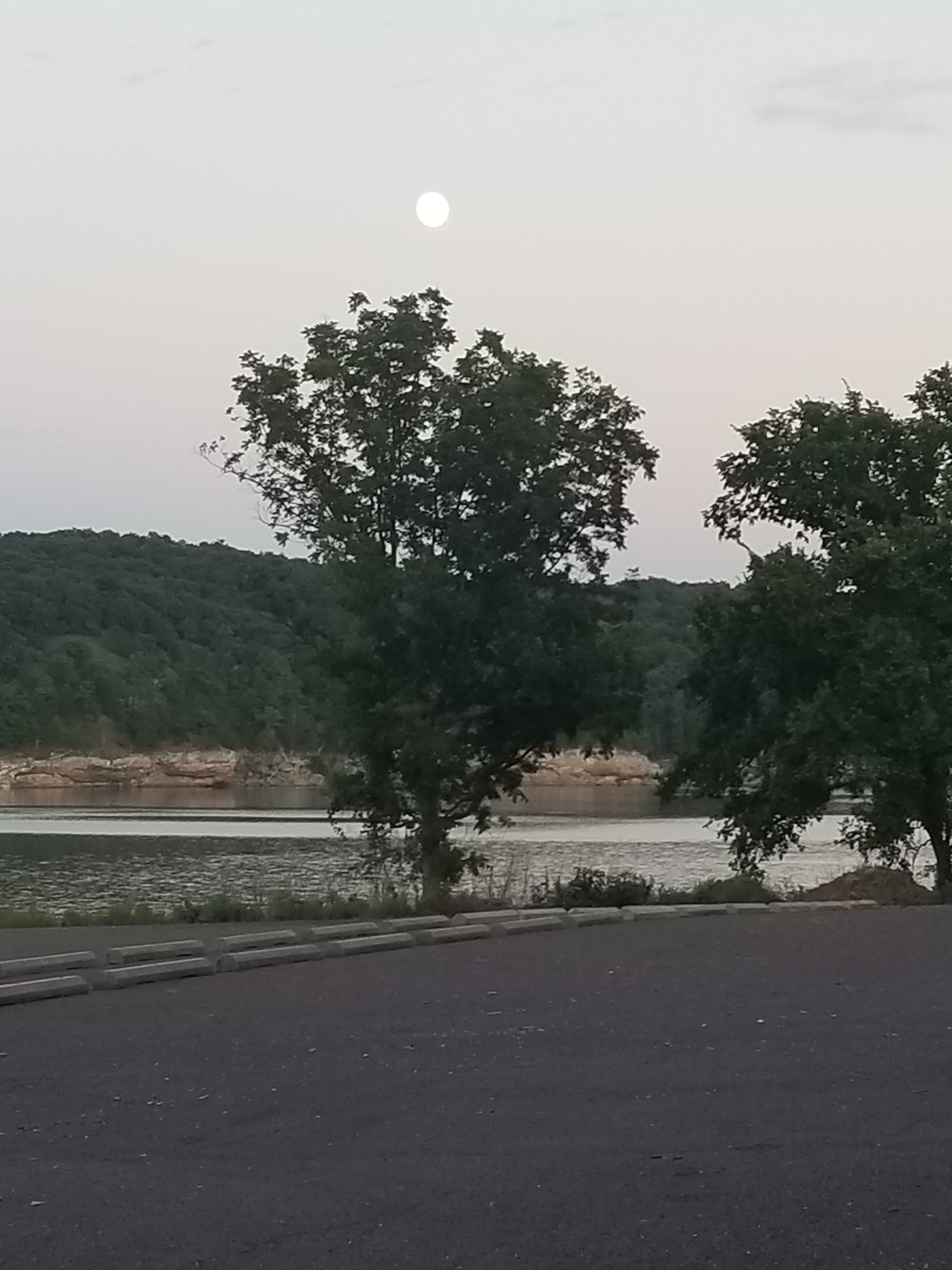Camper submitted image from Berry Bend - Harry S. Truman Lake - 3