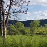 Review photo of Berry Bend - Harry S. Truman Lake by Leslie H., August 23, 2020