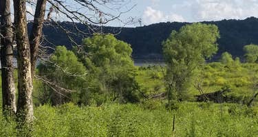 Harry S. Truman Lake - COE/Berry Bend