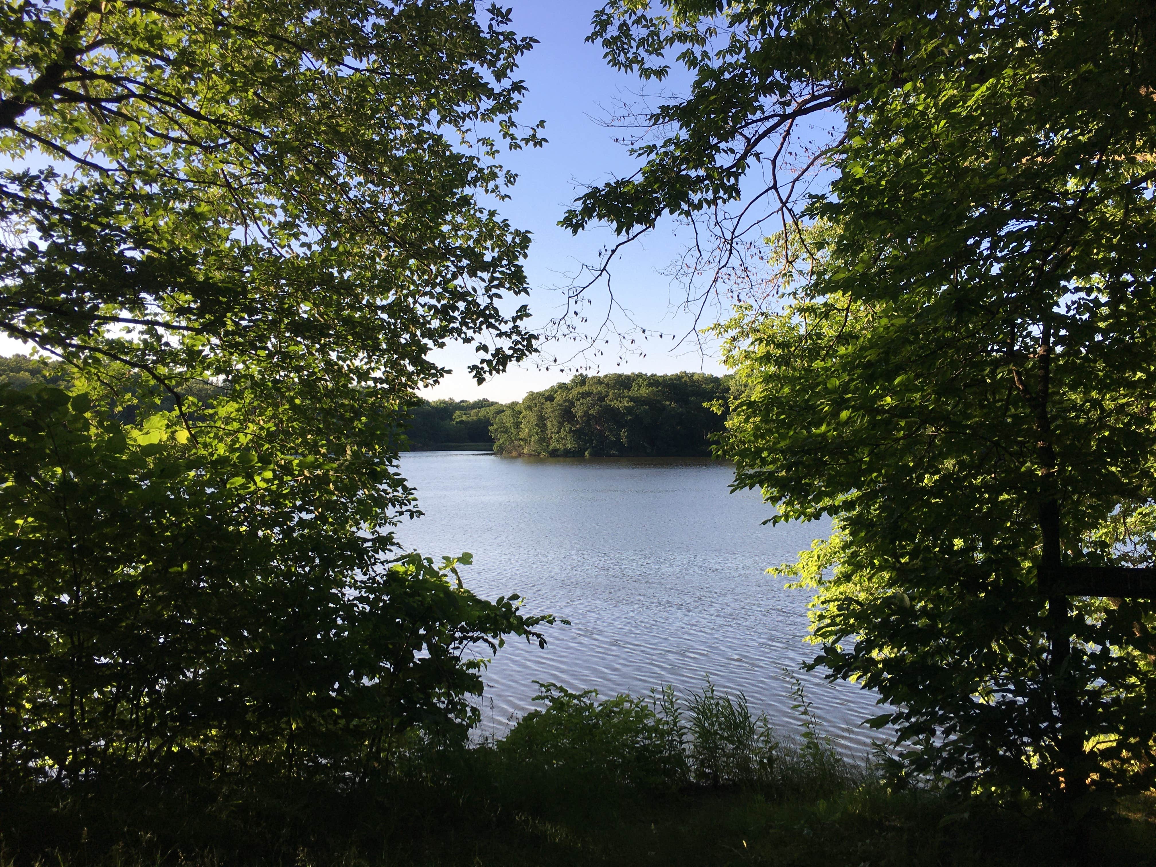 Camper-submitted photo at Spring Lake Park - Macomb near Wolf Lake, IL
