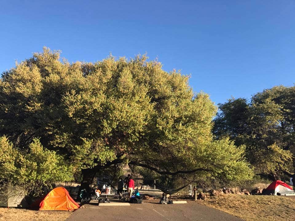 Troy W.'s photo at Davis Mountains State Park Campground near Alpine, TX