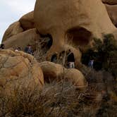 Review photo of Jumbo Rocks Campground — Joshua Tree National Park by Lindsay B., May 6, 2018