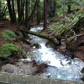 Review photo of Limekiln State Park Campground — TEMPORARILY CLOSED by Rick  K., August 23, 2020