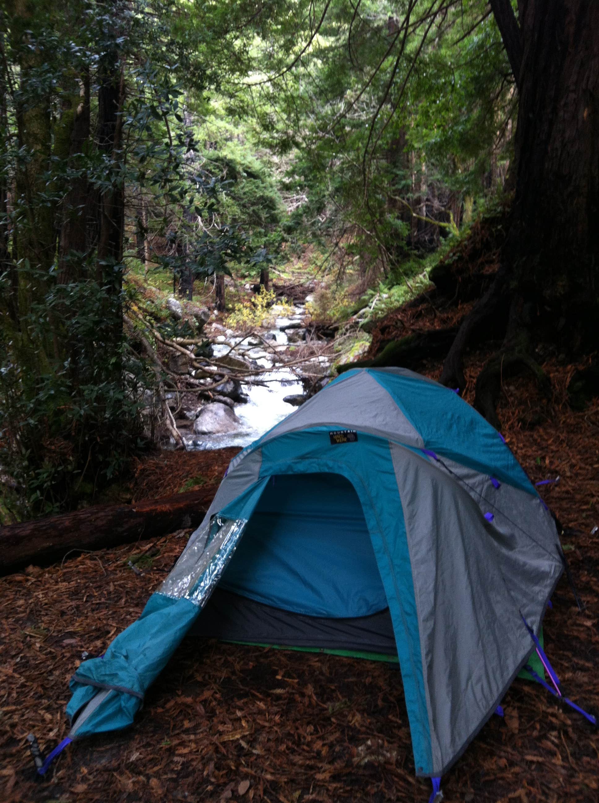 Rick  K.'s photo of tent camping at Limekiln State Park Campground near Pebble Beach, CA