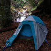 Review photo of Limekiln State Park Campground — TEMPORARILY CLOSED by Rick  K., August 23, 2020