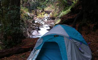 Rick K.'s photo of tent camping at Limekiln State Park Campground near Pebble Beach, CA