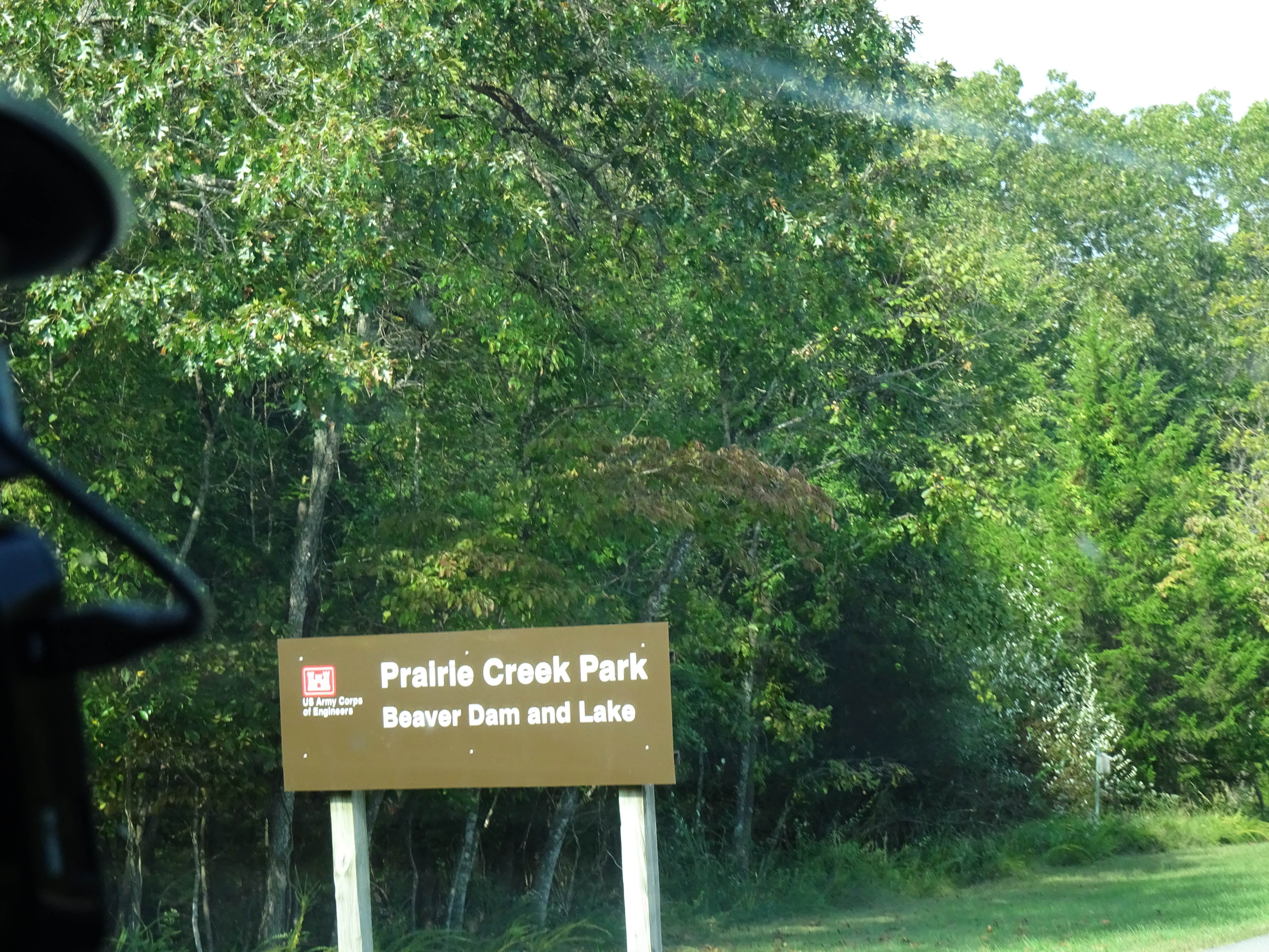 Camper submitted image from COE Beaver Lake Prairie Creek Campground - 2