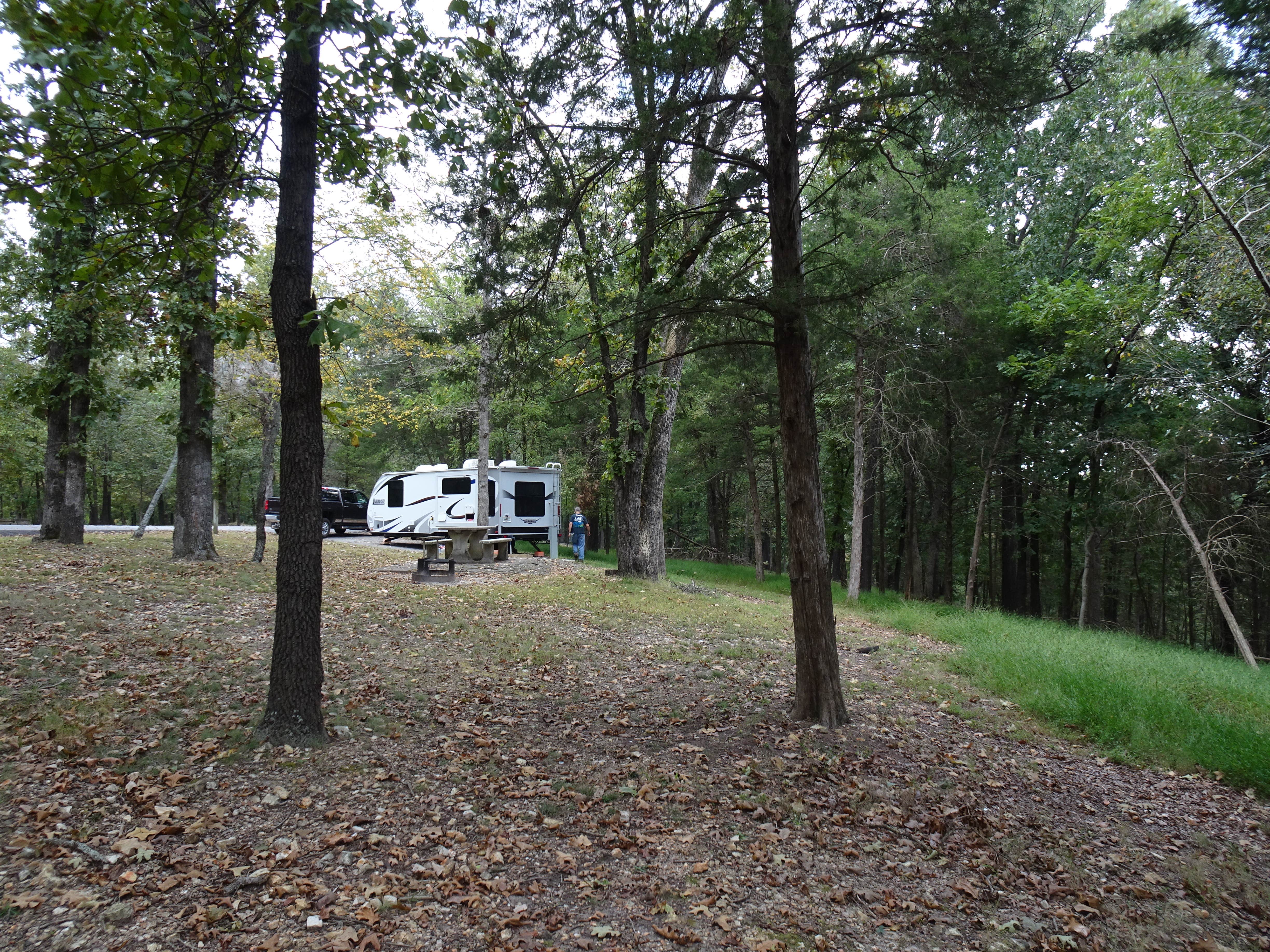 Camper submitted image from COE Beaver Lake Prairie Creek Campground - 5