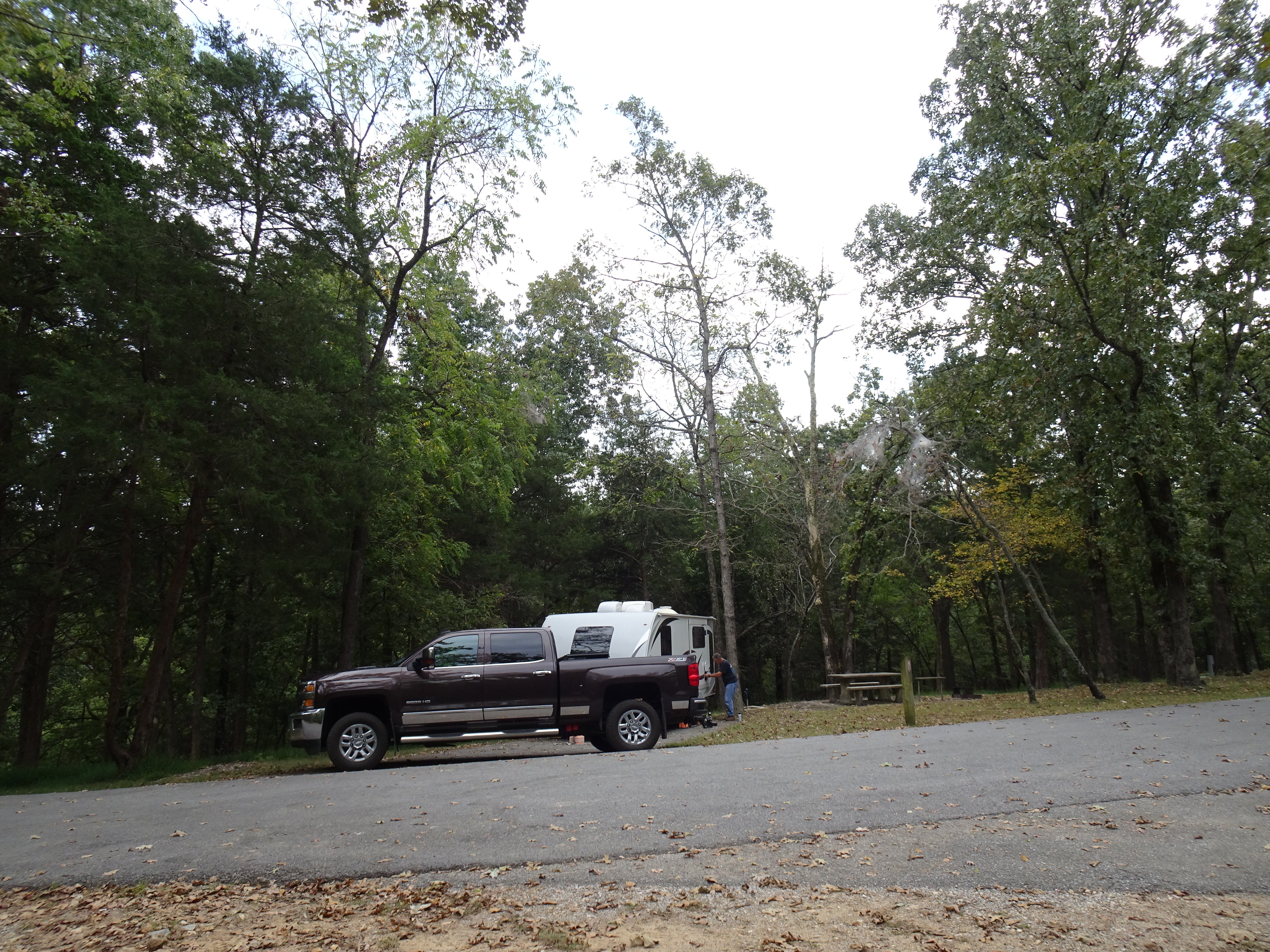 Camper submitted image from COE Beaver Lake Prairie Creek Campground - 3