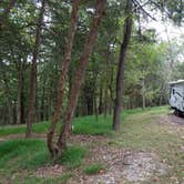 Review photo of COE Beaver Lake Prairie Creek Campground by Annell N., August 23, 2020