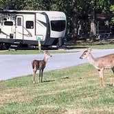 Review photo of COE Beaver Lake Prairie Creek Campground by Annell N., August 23, 2020