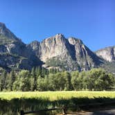 Review photo of Wawona Campground — Yosemite National Park by Lindsay B., May 6, 2018