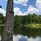 Review photo of Sabine National Forest Indian Mounds Recreation Area by David S., August 23, 2020