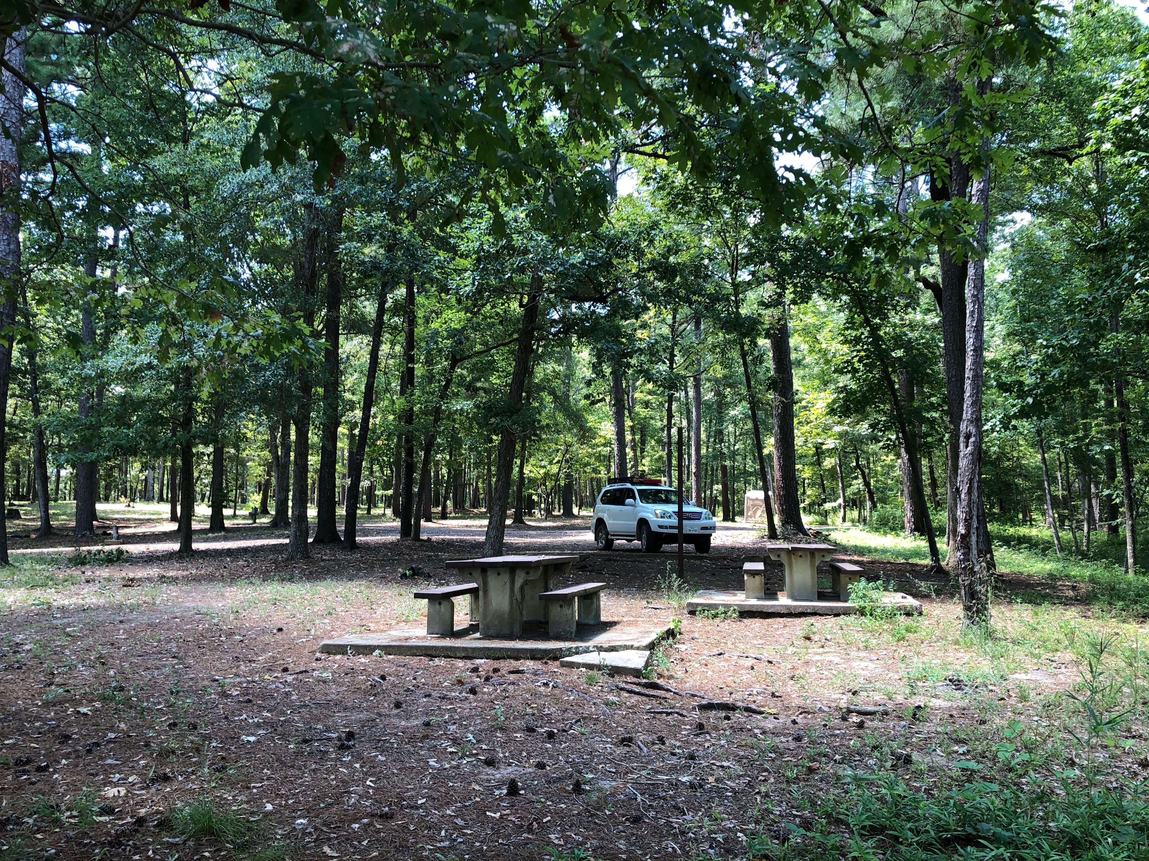 David S.'s photo at Indian Mounds Recreation Area near Hemphill, TX