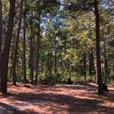 Review photo of Indian Mounds Recreation Area by David S., August 23, 2020