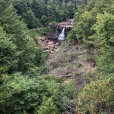 Review photo of Blackwater Falls State Park Campground by Henry R., August 23, 2020